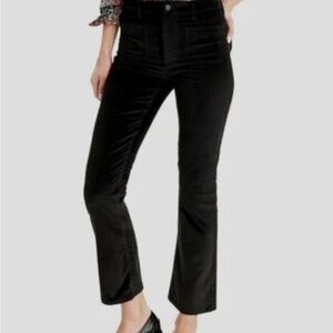J. Crew Pants,3 velvet Billi Demi Boot NWT! 26P